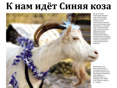 Газета «Калужская неделя» №49 от 18 декабря 2014