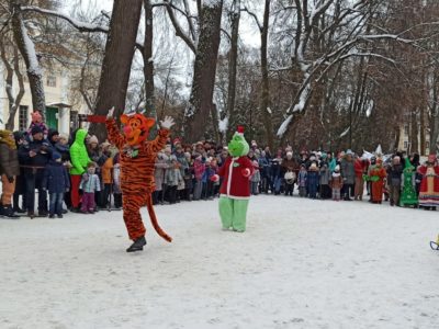 В Калуге прошёл новогодний карнавал