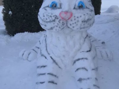Калужане лепят тигров из снега