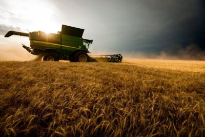 Сельхозпроиводство за год подросло на 9,6 процента