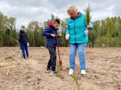Калужане высадят около 170 тысяч деревьев в память о погибших в годы Великой Отечественной войны