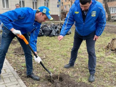 Калужские активисты ЛДПР разбили аллею в память о Жириновском