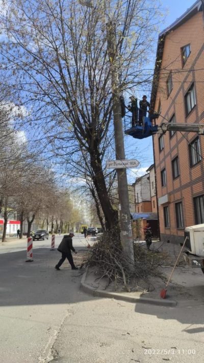 На калужских улицах закончили санитарную обрезку деревьев