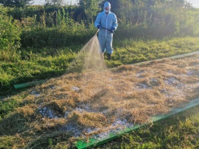 Количество очагов гриппа птиц выросло до девяти