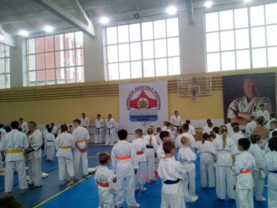 В Калуге прошёл турнир по  кёкусинкай каратэ «Молодые львы»