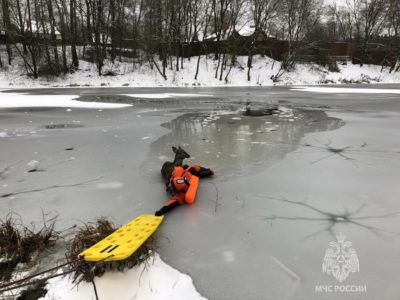 Калужские спасатели вытащили провалившуюся под лёд косулю