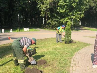 Городское хозяйство Калуги сообщило об итогах работы по озеленению города в 2022 году