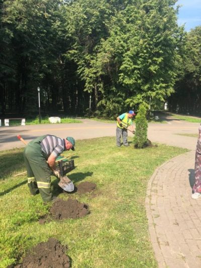 Городское хозяйство Калуги сообщило об итогах работы по озеленению города в 2022 году