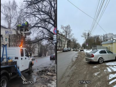 На улице Никитина обрезали деревья по просьбе местных жителей
