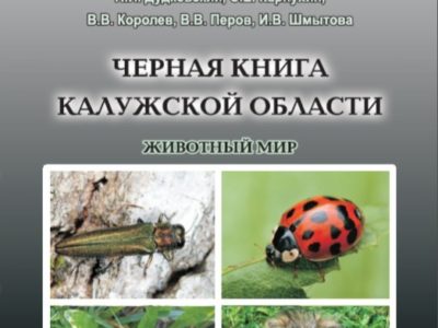 В Чёрную книгу Калужской области внесли животных-чужаков