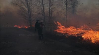 На большей части Калужской области введен особый противопожарный режим