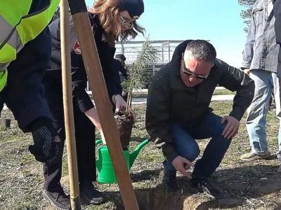 В День космонавтики Дмитрий Денисов посадил деревья в сквере Волкова 