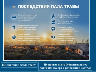 МЧС России по Калужской области напоминает об опасности пала сухой травы
