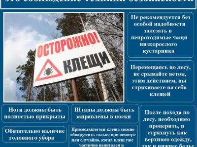 МЧС России по Калужской области предупреждает об опасности укусов клещей