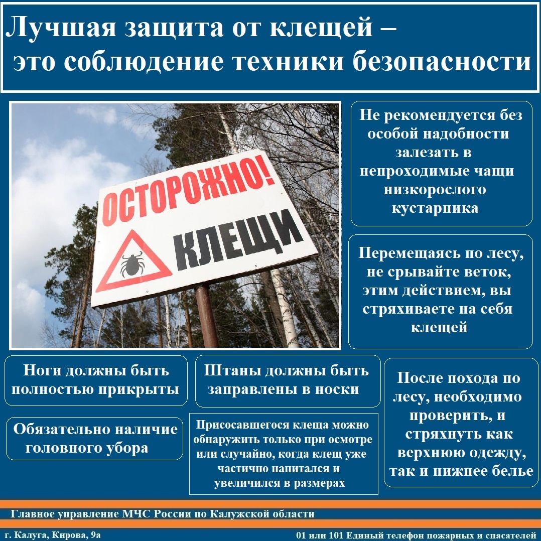 МЧС России по Калужской области предупреждает об опасности укусов клещей —  Газета «Калужская неделя»