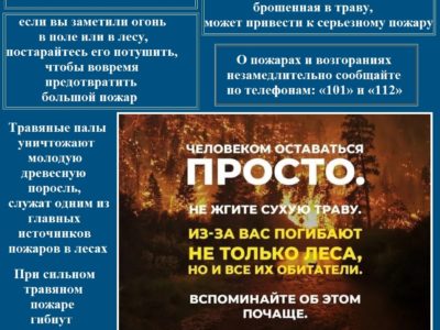 МЧС по Калужской области напоминает об опасности пала травы