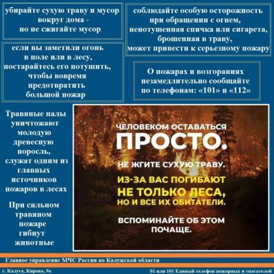 МЧС по Калужской области напоминает об опасности пала травы