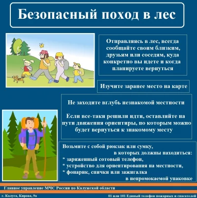 МЧС России по Калужской области напоминает жителям правила безопасного похода в лес