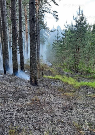 В Калужской области произошел еще один лесной пожар