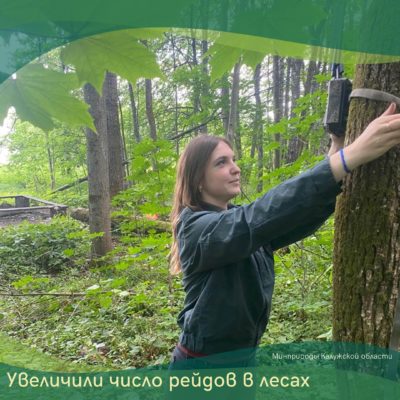 Сотрудники Калужского Минприроды будут патрулировать леса 