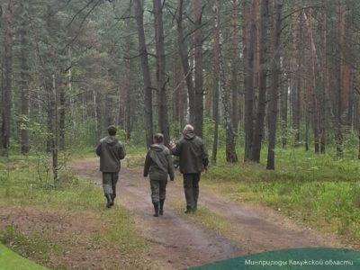 Минприроды Калужской области напоминает жителям о необходимости беречь чистоту леса 