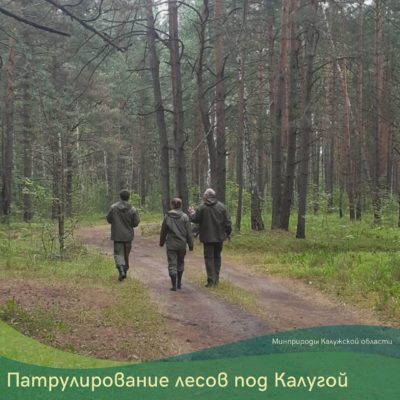 Минприроды Калужской области напоминает жителям о необходимости беречь чистоту леса 