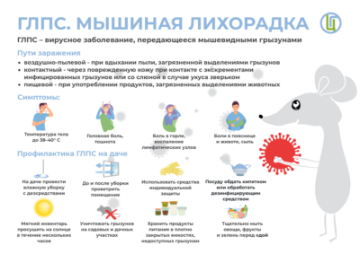 Грызуны могут заразить организм человека опасной инфекцией