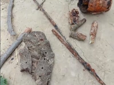Участники СВО из Калужской области нашли останки четверых красноармейцев