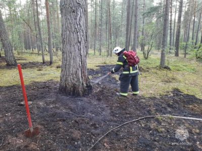 В Калужской области подведены итоги пожароопасного сезона