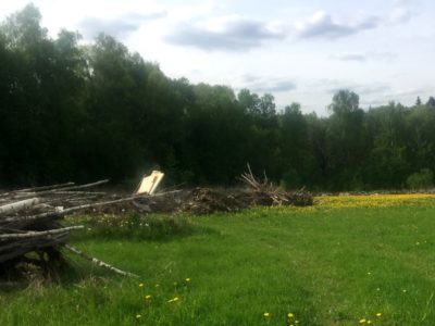 За семь месяцев на сельхозземлях Калужской области выросли 24 свалки