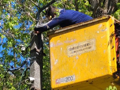 Новые светильники появились на нескольких улицах Калуги