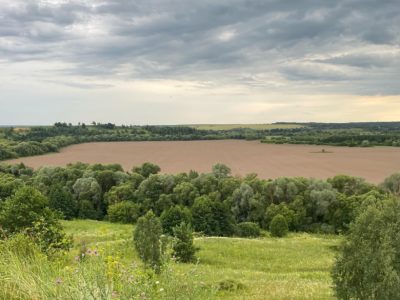 В Калужской области растет число отравлений грибами