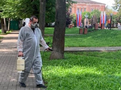 Клещи умерили свою активность