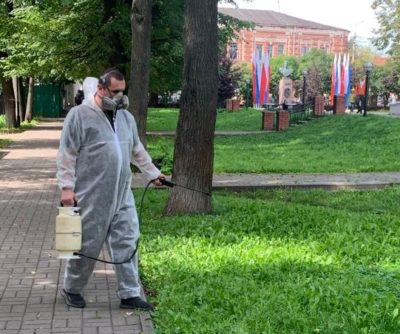 Клещи умерили свою активность