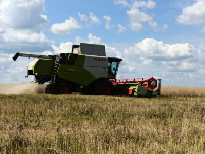 В Калужской области завершается уборка зерновых