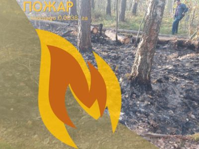Лесной пожар вспыхнул в Калуге