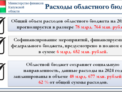 Правительство Калужской области одобрило региональный бюджет