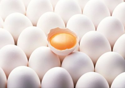 Калужская область внесёт вклад в производство яиц