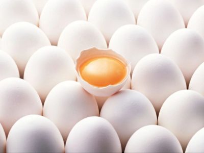 Калужская область внесёт вклад в производство яиц