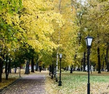 В парке Циолковского установят «петровские» фонари