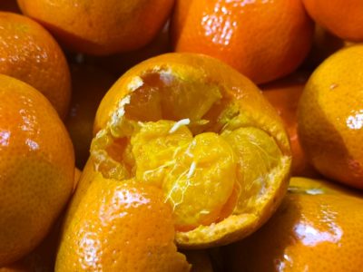 В Калужскую область ввезли более 20 тонн зараженных мандаринов