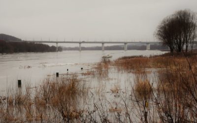 Мосты и дороги подтопило в Калуге и трех районах области