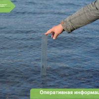 Вода в Оке за сутки поднялась на 64 сантиметра