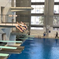 В Калуге впервые стартовало первенство России по прыжкам в воду