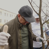 Владислав Шапша посадил липы на улице Салтыкова-Щедрина
