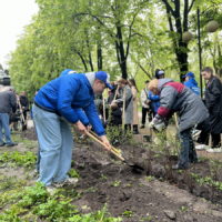 В сквере Ветеранов появился «Сад Памяти»