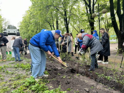 В сквере Ветеранов появился «Сад Памяти»