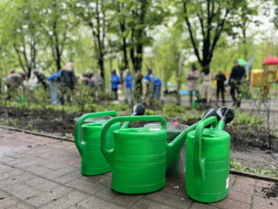 Сажать деревья в Калуге будут под руководством главного садовника