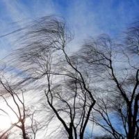 Сильный ветер и заморозки прогнозируют в Калужской области