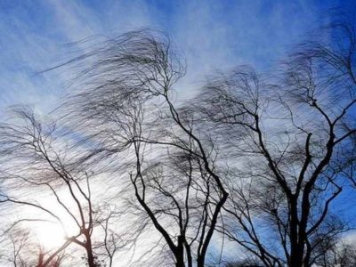 Сильный ветер и заморозки прогнозируют в Калужской области